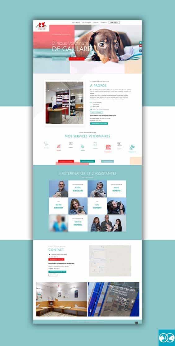 Site web d'une clinique vétérinaire en haute savoie