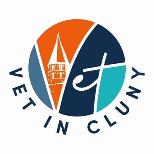 Logo sur mesure pour clinique vétérinaire