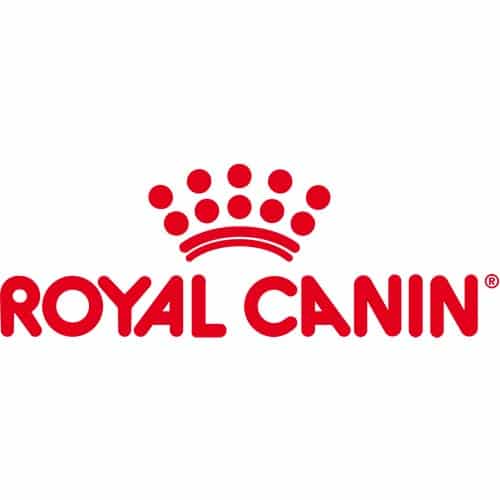 Royal Canin a fait appel à Vétoonline pour accompagner ses clients dans leur communication