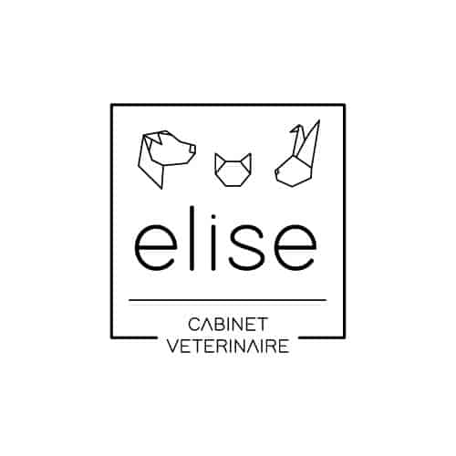 Charte graphique de clinique vétérinaire