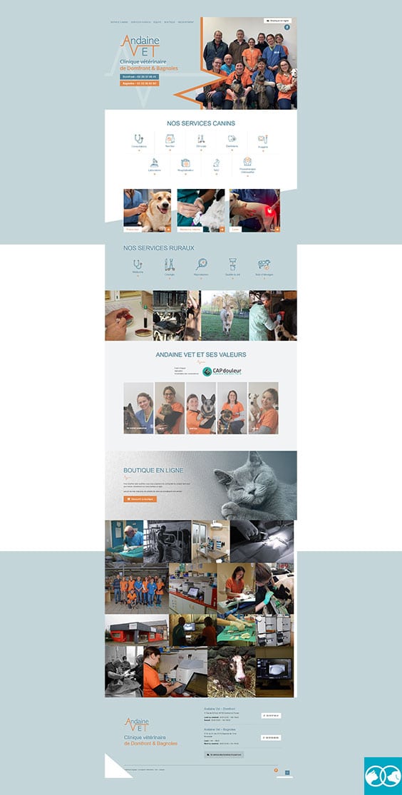 La clinique Andainevet à confié a Vétoonline la refonte de son site internet